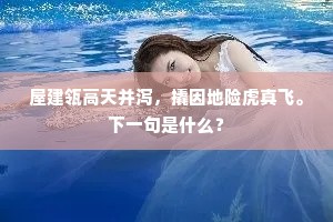 起视夜何其，星斗灿满目。的解释