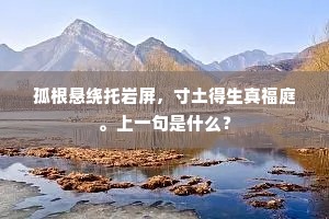 相事衮衣还日月，主恩舟楫远风涛。出自哪首诗？