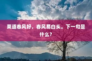 广舌浩江输，迅机无箭拟。的释义