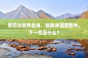 寻春野寺又春回，赖有馀芳数朵开。下一句是什么？