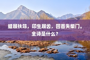 离居方岁月。故人不在兹。的意思及出处