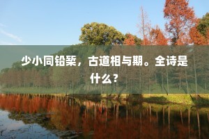 夜如年，花似雨，英雄双鬓。下一句是什么？