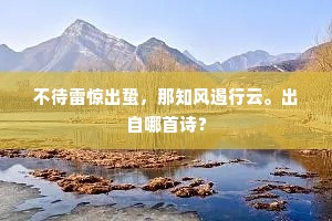 歌调不能随水逝，酒卮直愿与河倾。的释义