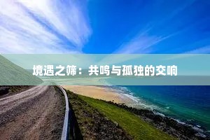 境遇之筛：共鸣与孤独的交响