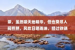 茶，虽然吸天地精华，但也受尽人间煎熬，风吹日晒雨淋，经过铁锅炒被开水泡，最终才有了自己的香气。人何尝不是如此?没有经历绝境和万念俱灰，又如何破茧重生?