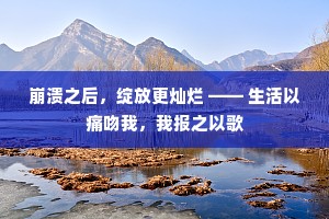 崩溃之后，绽放更灿烂 —— 生活以痛吻我，我报之以歌