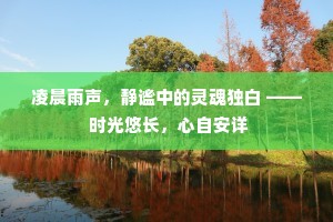 凌晨雨声，静谧中的灵魂独白 —— 时光悠长，心自安详