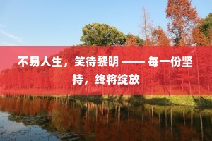 不易人生，笑待黎明 —— 每一份坚持，终将绽放