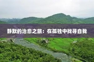 静默的治愈之旅：在孤独中找寻自我