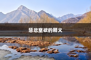 惩忿窒欲的释义