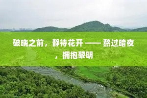 破晓之前，静待花开 —— 熬过暗夜，拥抱黎明