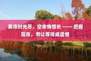 莫待时光尽，空余悔恨长 —— 把握现在，勿让等待成遗憾