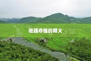 驰魂夺魄的释义