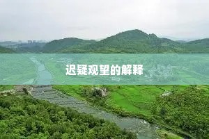 迟疑观望的解释