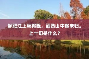 国之干城的释义