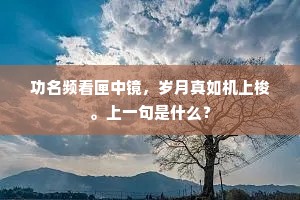 雨脚如奔冒远岑，须臾六合变层阴。上一句是什么？