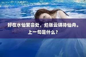 随风万点寻春去。的释义