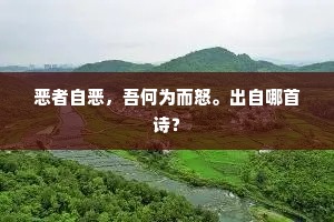 乡中往往讳言虎,地是古志毛虫处。出自哪首诗? 乡中往往讳言虎,地是古志毛虫处。出自哪首诗?