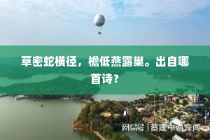 奥义窥儒寝，纯音发帝茎。的意思及出处