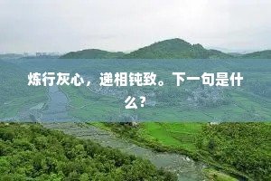 乍霁千丝雨，齐张万盖松。的释义