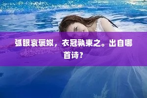 忽飞出、百道寒芒。下一句是什么？