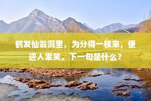 含菁咀华的释义