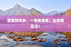 笑人被骗，实则映照人心幽暗——论智愚之外的真相