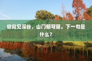 坦白之心，铸就诚实与勇敢的辉煌篇章