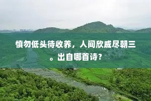 紫燕黄鹂相对舞。的意思及出处