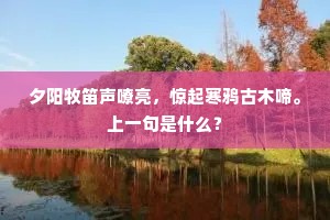 南幽借重，料难轻与磨灭。全诗是什么？