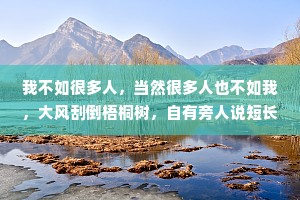 我不如很多人，当然很多人也不如我，大风刮倒梧桐树，自有旁人说短长。我做好我的，你过好你的，你不用理解我，各有各的路。