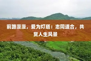 前路漫漫，爱为灯塔：志同道合，共赏人生风景