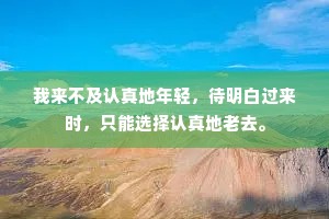我来不及认真地年轻，待明白过来时，只能选择认真地老去。