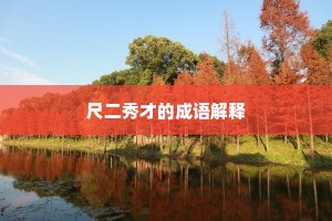 尺二秀才的成语解释