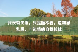 我没有失眠，只是睡不着，边胡思乱想，一边情绪自我拉扯