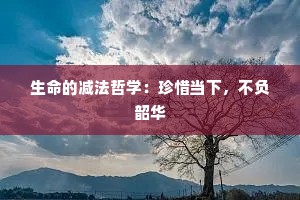 生命的减法哲学：珍惜当下，不负韶华