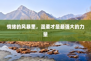 情绪的风暴里，温柔才是最强大的力量