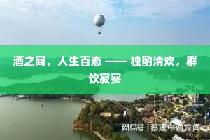 酒之间，人生百态 —— 独酌清欢，群饮寂寥