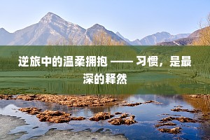 逆旅中的温柔拥抱 —— 习惯，是最深的释然