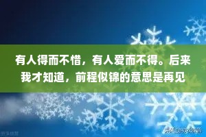 有人得而不惜，有人爱而不得。后来我才知道，前程似锦的意思是再见，别来无恙的意思是物是人非。再见，就是再也不见。