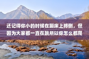 还记得你小的时候在蹦床上摔倒，但因为大家都一直在跳所以你怎么都爬不起来吗?成年人的生活就是这种感觉。