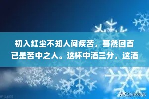 初入红尘不知人间疾苦，蓦然回首已是苦中之人。这杯中酒三分，这酒中悲七分。关关难过关关过，夜夜难熬夜夜熬。