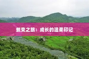 蜕变之旅：成长的温柔印记
