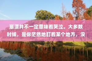 崩溃并不一定意味着哭泣。大多数时候，是你茫然地盯着某个地方，没有精力继续做你正在做的任何事情。