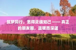 筑梦同行，觅得灵魂知己 —— 真正的朋友圈，温暖而深邃