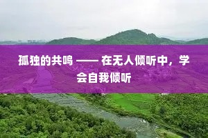 孤独的共鸣 —— 在无人倾听中，学会自我倾听