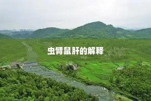虫臂鼠肝的解释