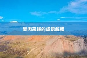 臭肉来蝇的成语解释