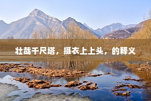 梦回石壁半斜照，蝙蝠打人山鸟呼。下一句是什么？