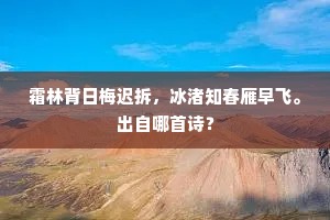 爽澄兰沼镜，籁泛竹林筝。上一句是什么？